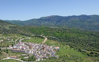 Fomentar el teletrabajo para llenar la España vaciada